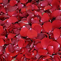 plantvatika offers dry rose petals online in Hathras