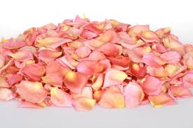 Dry Rose Petals online from PLANTVATIKA  in Sonbhadra
