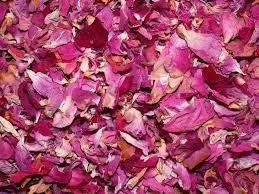 Dry Rose Petals online from PLANTVATIKA   in Saharanpur